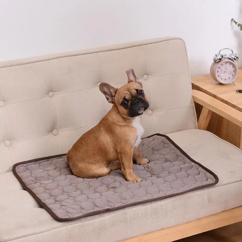 Kylmatta för hund & katt – Andningsbar sommarmatta | S-XXL