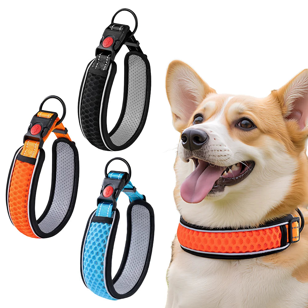 Justerbart hundhalsband med reflexer – andningsbart mesh