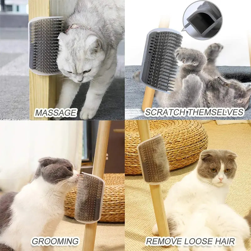 Hörnborste för katt – Massage & Hårborttagning | 4 färger