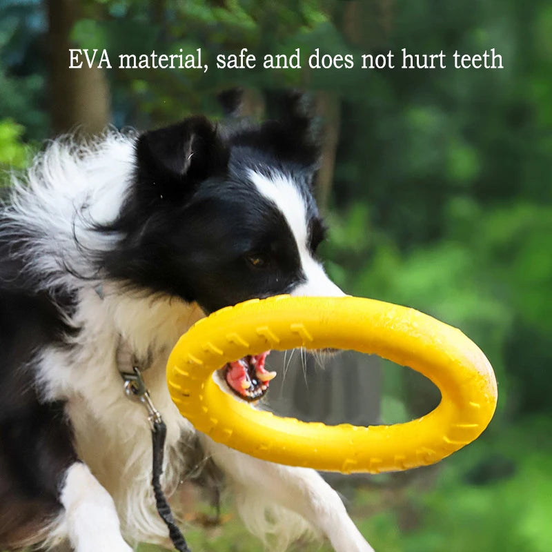 Hundleksaksset i EVA – Frisbee, Boll & Tuggleksak