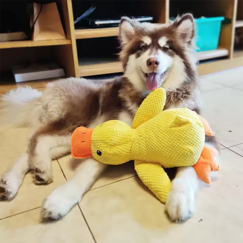 Gul ankplyschleksak för hund – Pip-pip & kramas | S, M & L