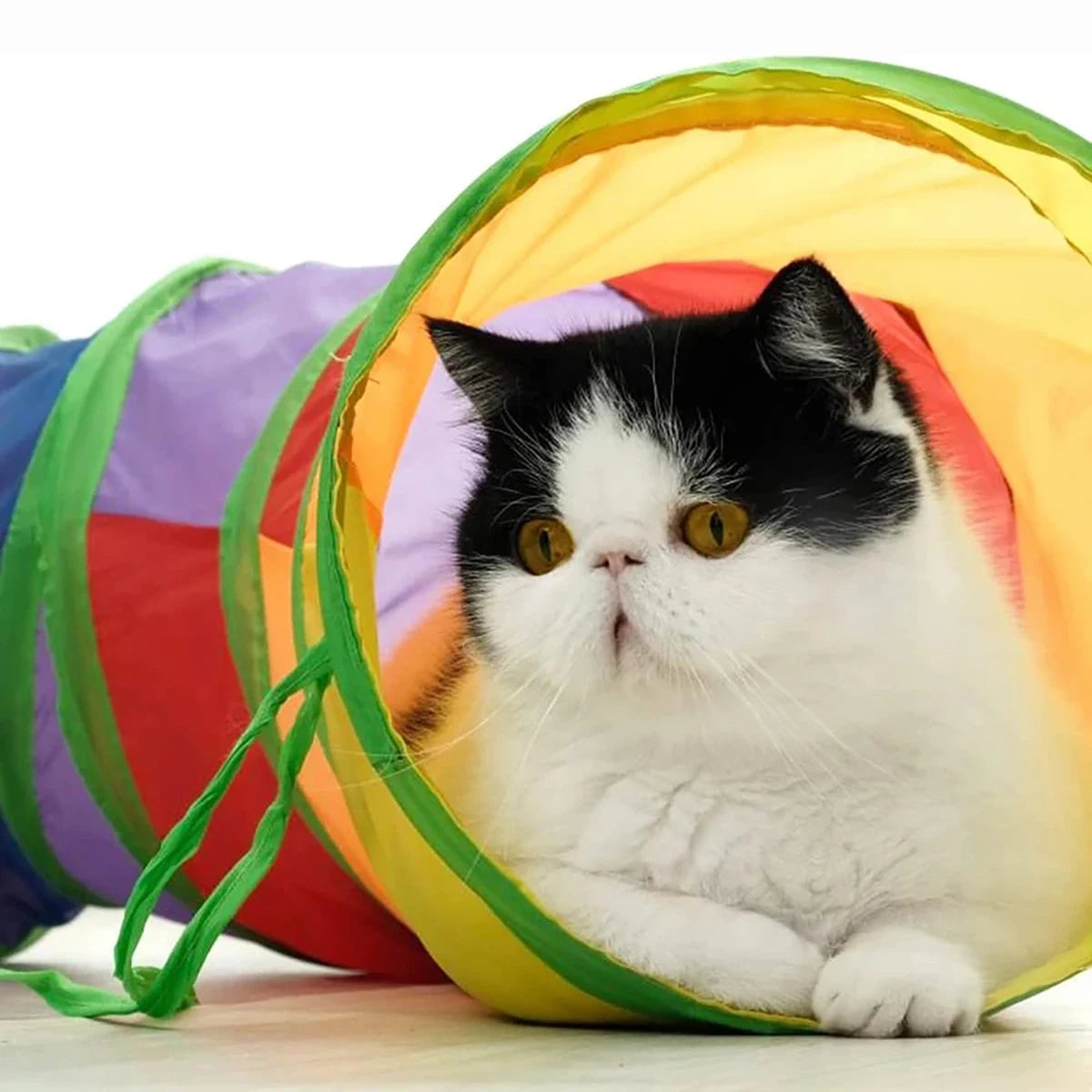 Hopfällbar katttunnel – interaktiv leksak för katt och kattunge