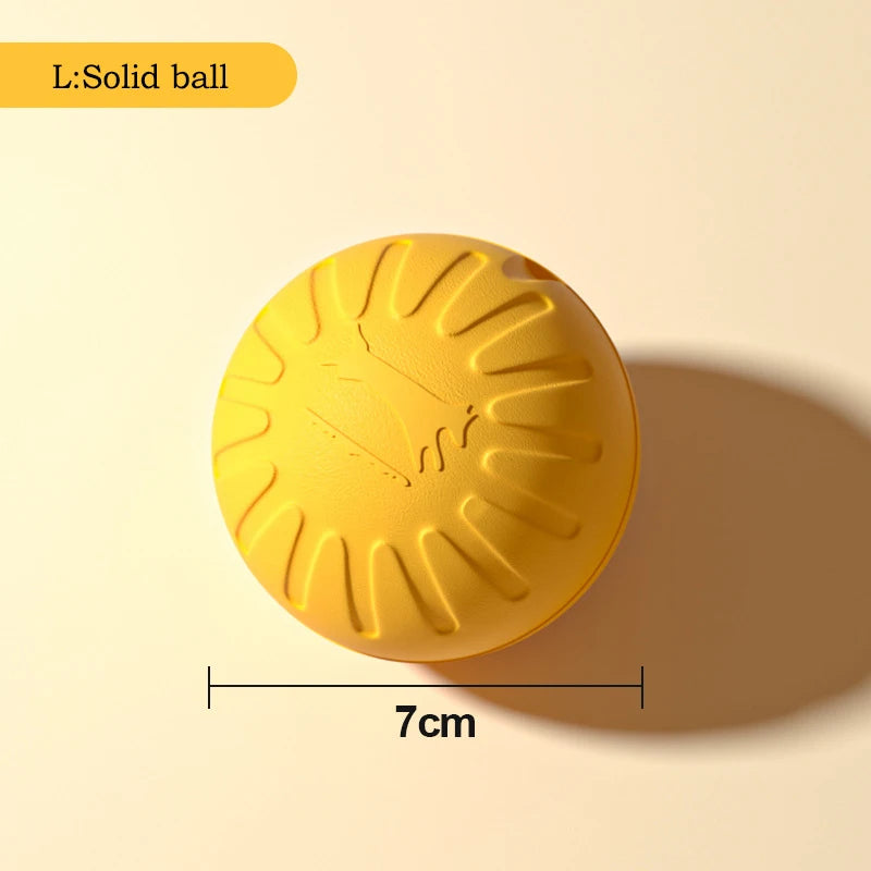 Hundleksaksset i EVA – Frisbee, Boll & Tuggleksak