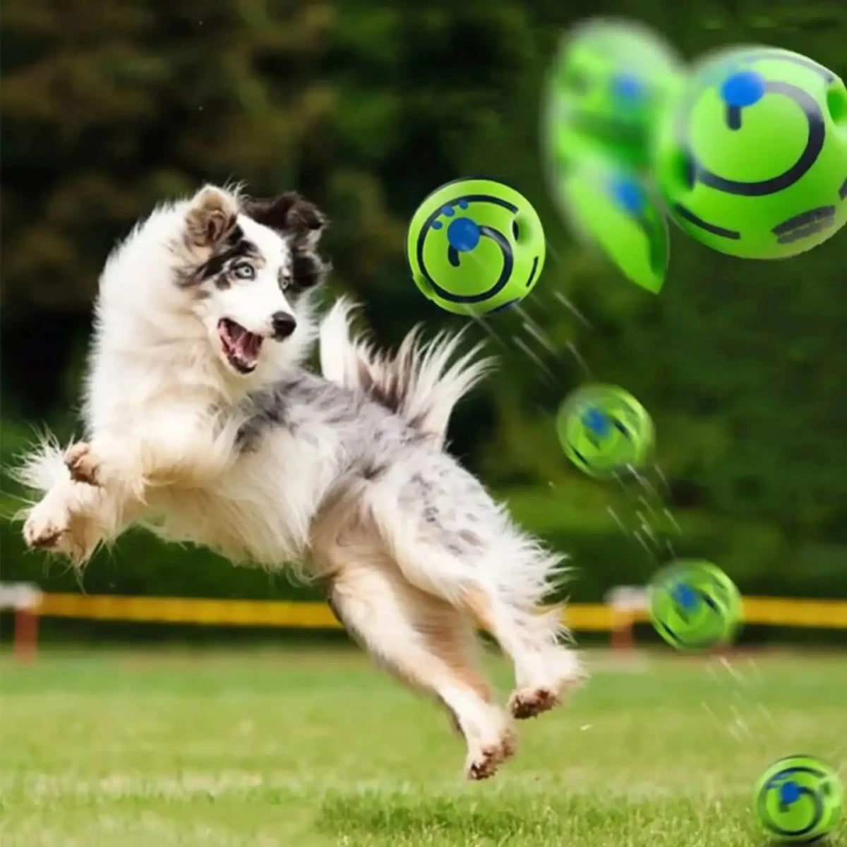 Interaktiv Fnissboll för Hund – IQ-träning & Lek