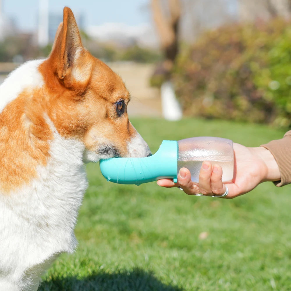 Portabel dricksflaska för hund – 300 ml