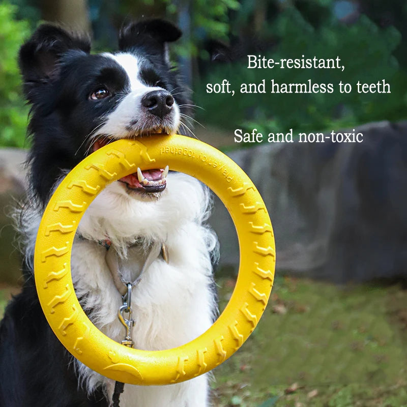 Hundleksaksset i EVA – Frisbee, Boll & Tuggleksak