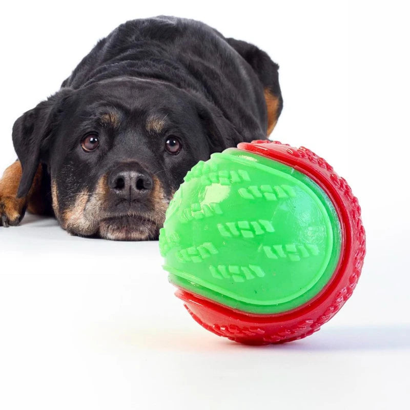 Tuggboll för Hund – Tandvård & Träning i Silikon