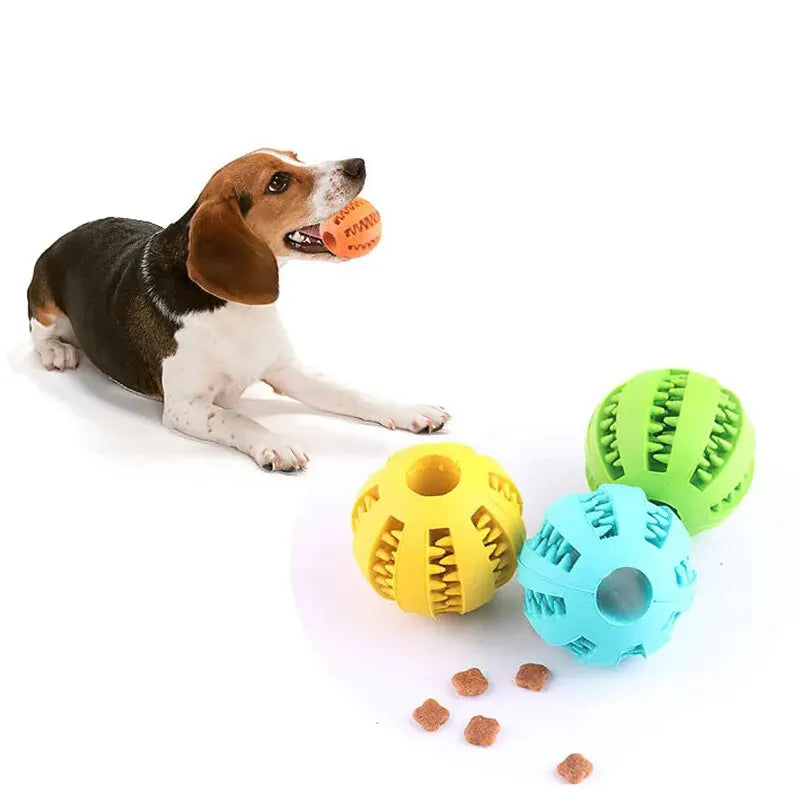 Hundleksaksboll – Giftfri & Bitresistent