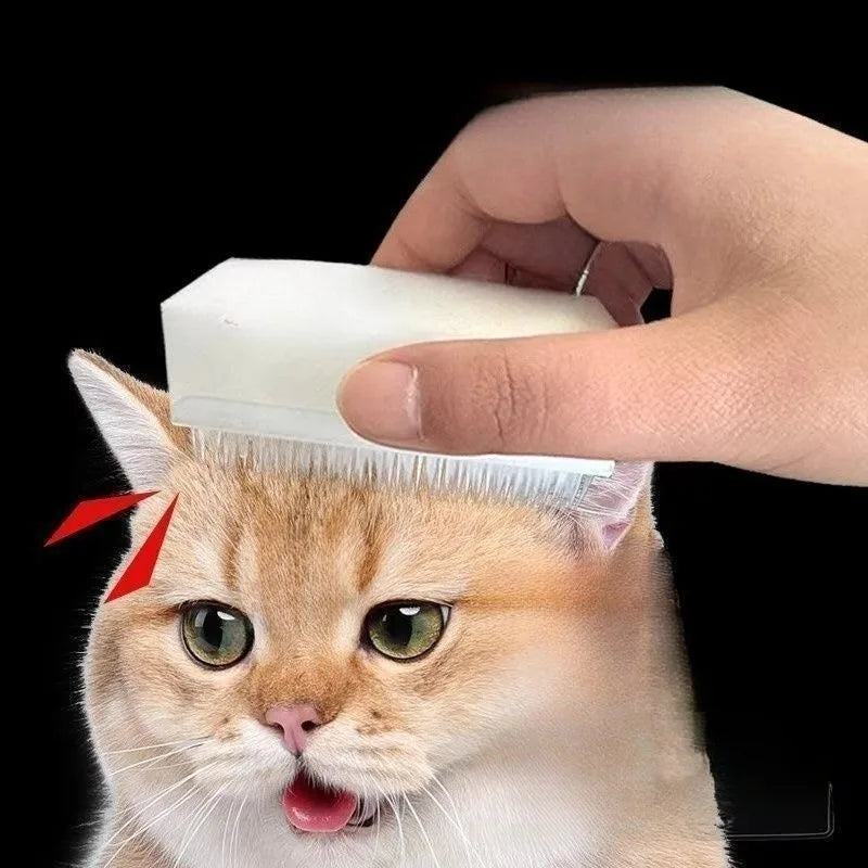 Tungborste för katt – Silikonmassage & tandvård | 1-10-pack