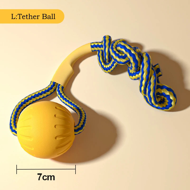 Hundleksaksset i EVA – Frisbee, Boll & Tuggleksak