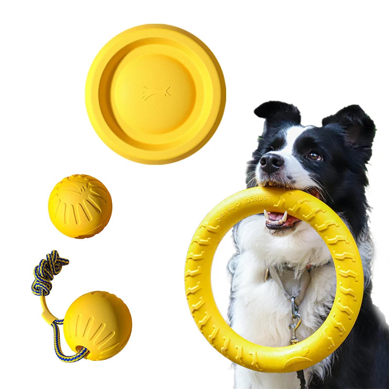 Hundleksaksset i EVA – Frisbee, Boll & Tuggleksak