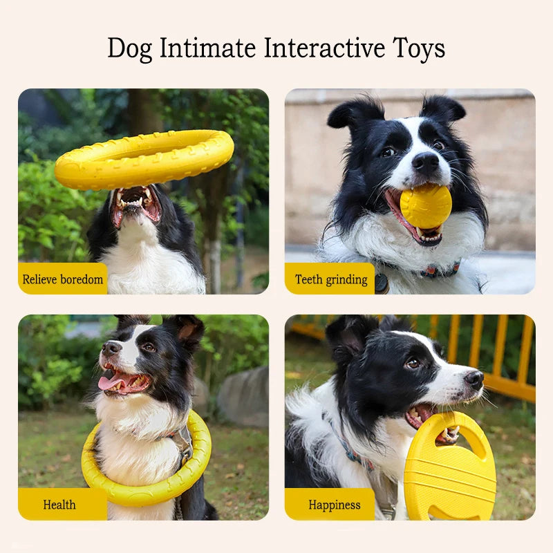 Hundleksaksset i EVA – Frisbee, Boll & Tuggleksak